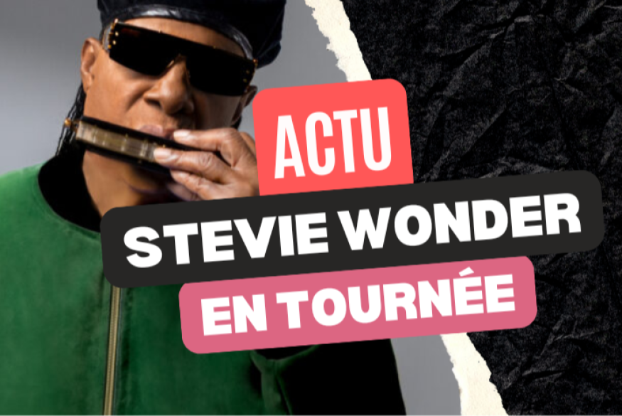 Une tournée pour Stevie Wonder